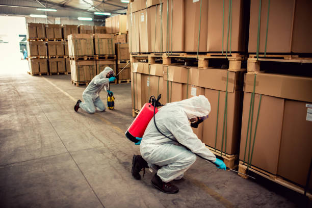 Best Termite Control Services  in Tipton, IA