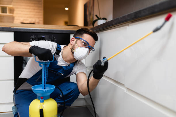 Pest Control for Restaurants in Tipton, IA