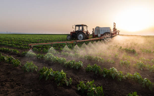 Best Pest Inspection Near Me  in Tipton, IA