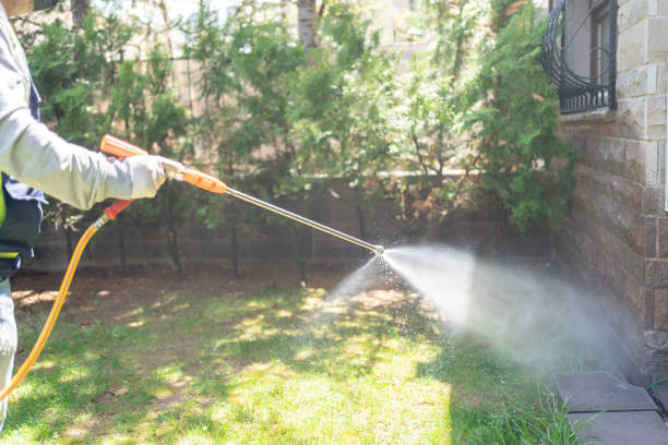 Best Emergency Pest Control  in Tipton, IA