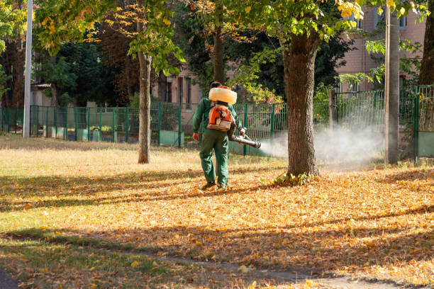 Pest Control Cost in Tipton, IA